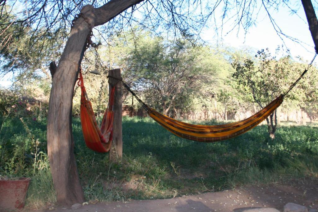 Quinta Adela Bed & Breakfast Bed and Breakfast San Pedro de Atacama Exterior foto